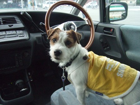 運転しようか?