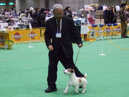 田下講師に引かれて