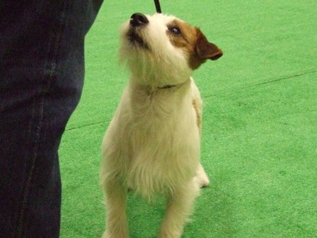 アイコンタクトはばっちり