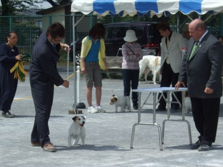 ルーニーの勇姿2