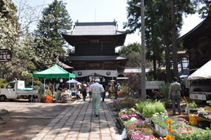 苗市+境内アート in 玄照寺