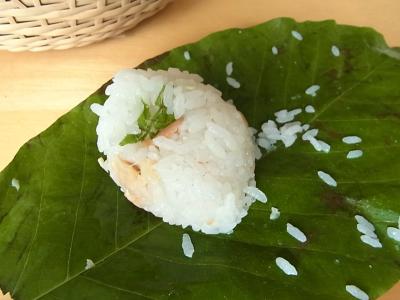 朴葉寿司
