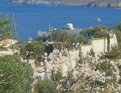 w016.jpg