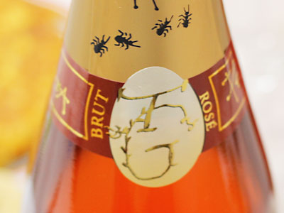 w005.jpg