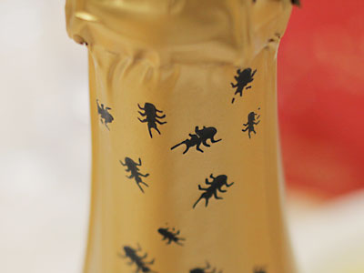 w006.jpg