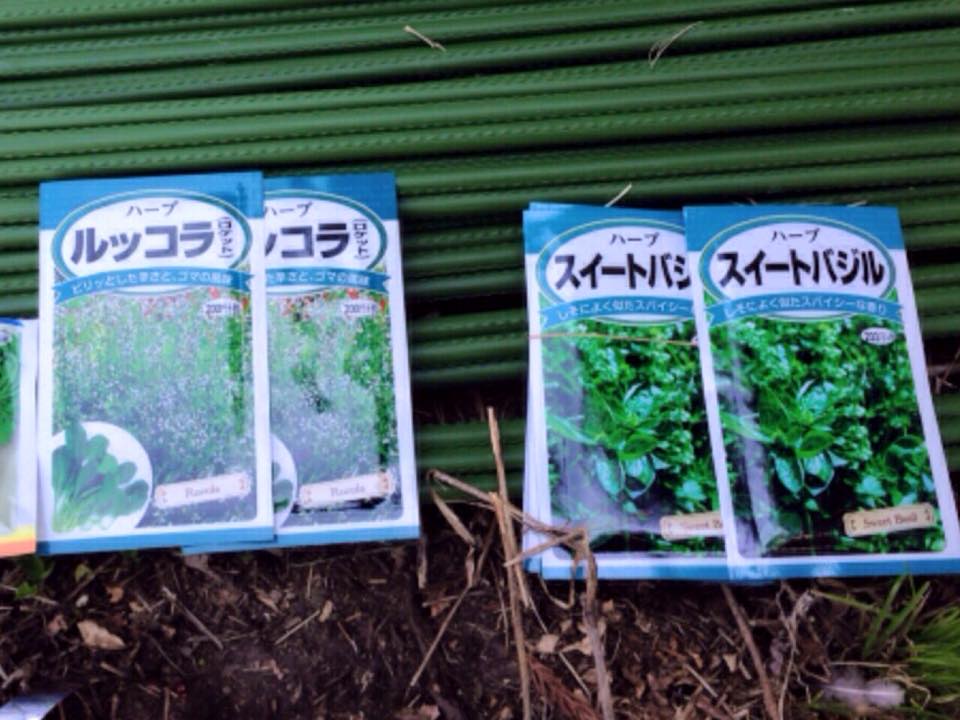 15年05月の記事 家族で 戸沢で 大豆の自然栽培