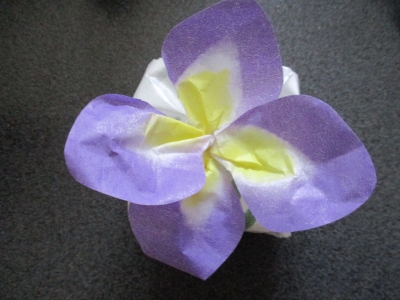 吉兆庵 菖蒲餅
