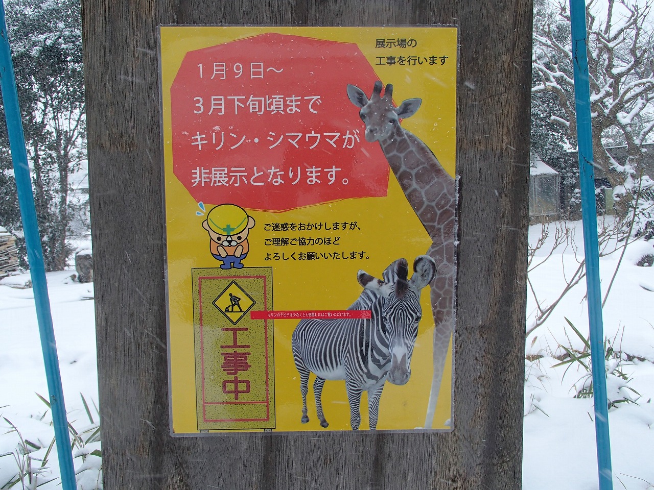 P2081736.jpg