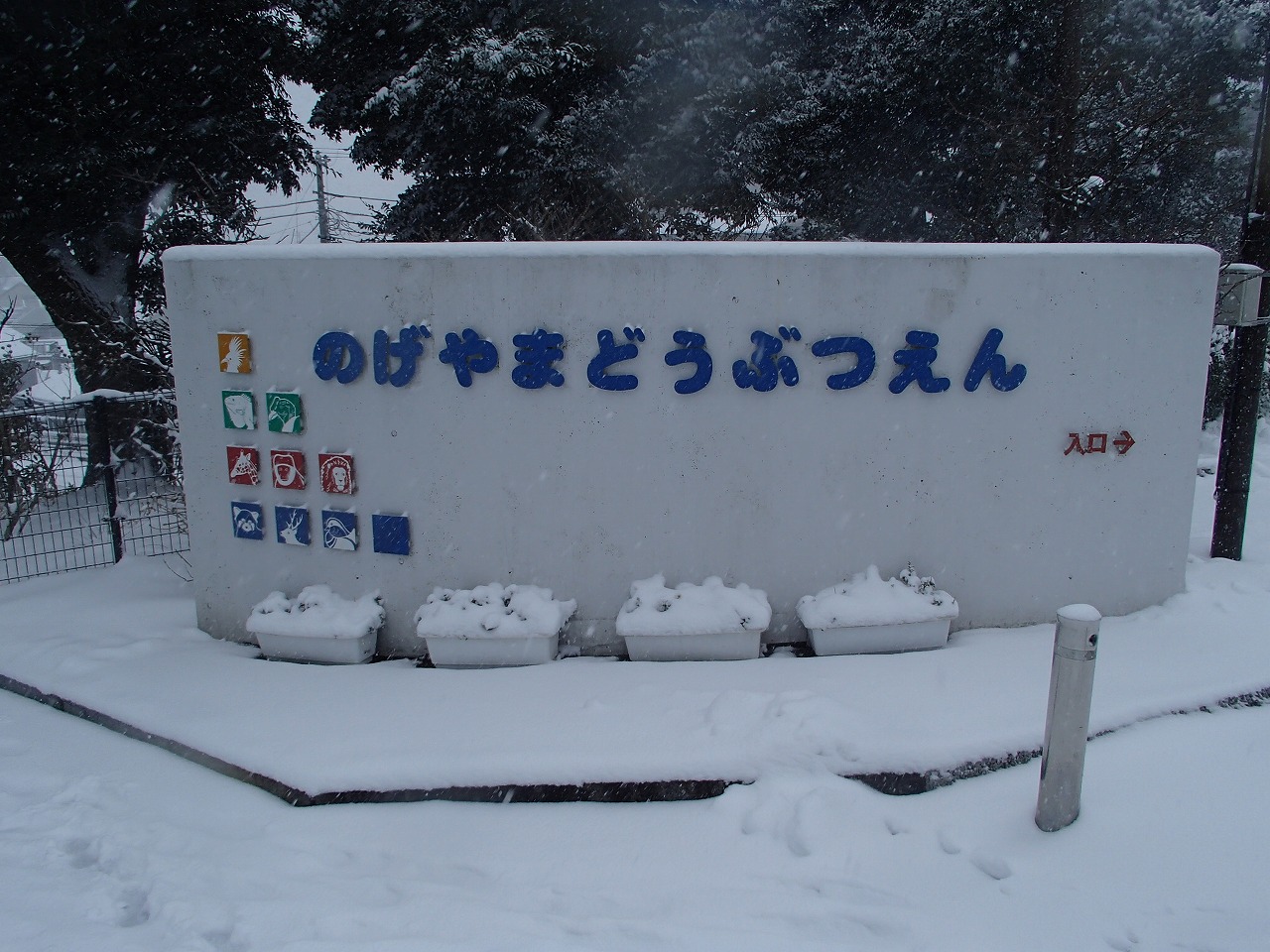 P2081761.jpg