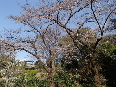 P3282359.JPG