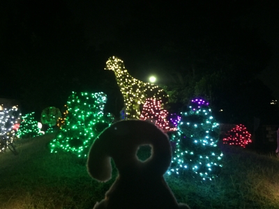 野毛山動物園 夜