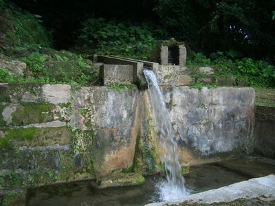 CIMG3864s.jpg