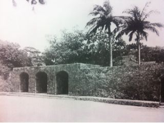 20110203165352_0.jpg