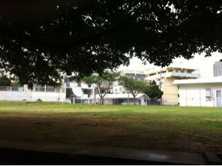 20110203165456_0.jpg