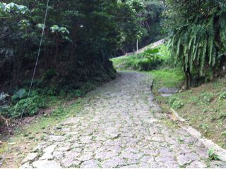 20110216101002_0.jpg