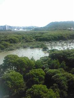 20110222225313_0.jpg
