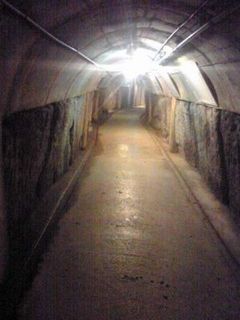20110222225327_0.jpg