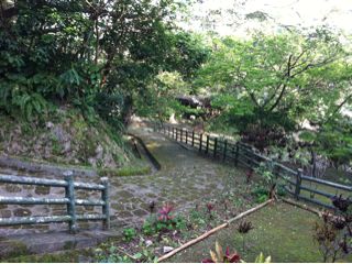 20110224162821_0.jpg