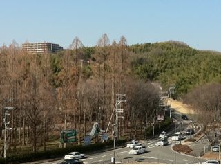 20110228135358_0.jpg