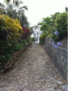 20110310193253_0.jpg