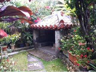 20110310193508_0.jpg