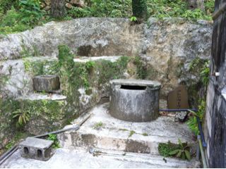 20110311083437_0.jpg