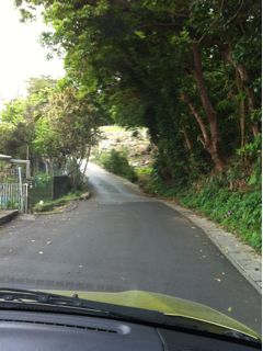 20110312161013_0.jpg