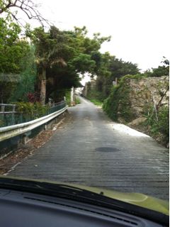 20110312161044_0.jpg