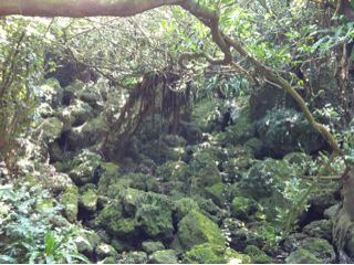20110403170546_0.jpg