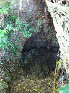20110410123159_0.jpg