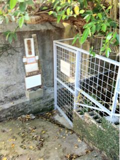 20110410123227_0.jpg