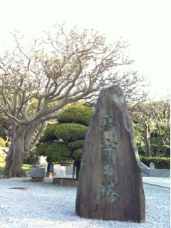 20110410185347_0.jpg