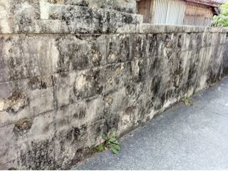 20110414214455_0.jpg