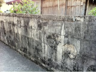 20110414214548_0.jpg