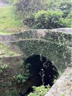 20110414215732_0.jpg