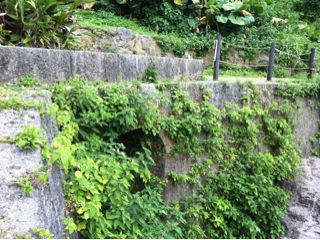 20110414215837_0.jpg