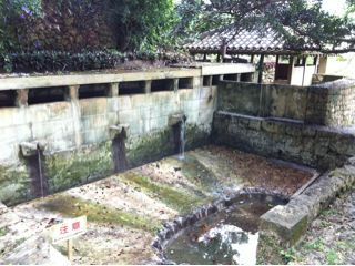 20110504165039_0.jpg