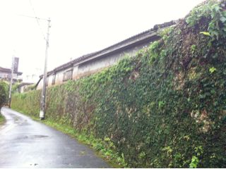 20110511205729_0.jpg