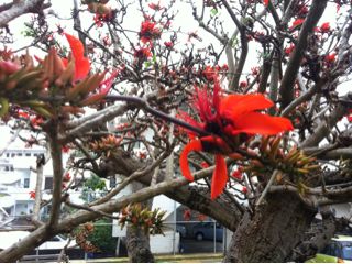20110514215519_0.jpg