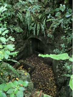 20110515160731_0.jpg