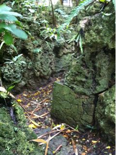 20110515160759_0.jpg