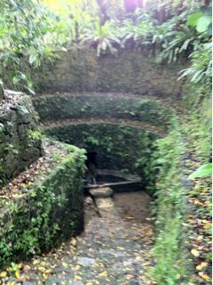 20110516224529_0.jpg