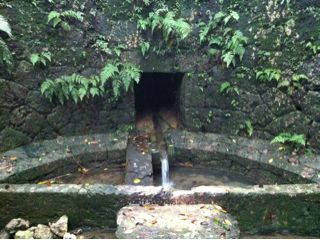 20110516224556_0.jpg