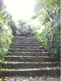 20110516224722_0.jpg