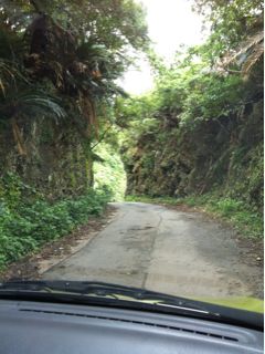 20110520224135_0.jpg