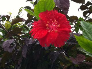 20110521155623_0.jpg