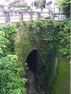 20110604065425_0.jpg
