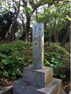 20110612222149_0.jpg