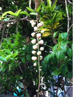 20110624072450_0.jpg