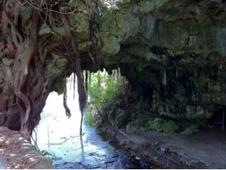 20110624122053_0.jpg